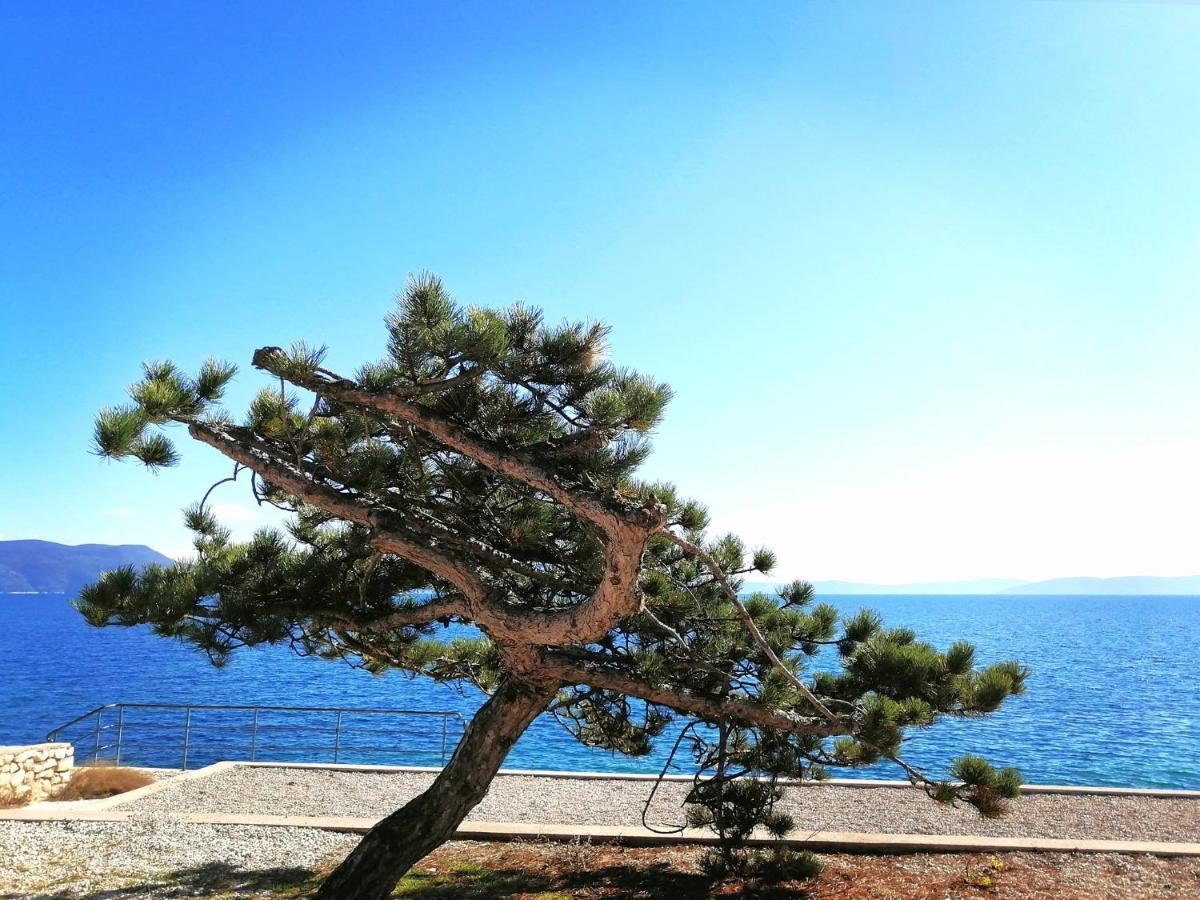 Studio Apartment Michelle - Intermezzo With Sea View Rabac Bagian luar foto